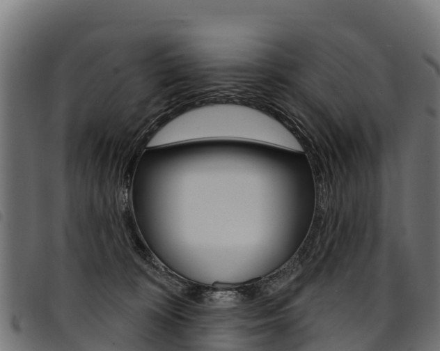 X0000094960324200711291133