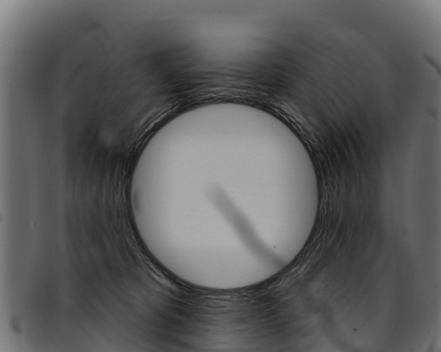 X0000094960325200711291133