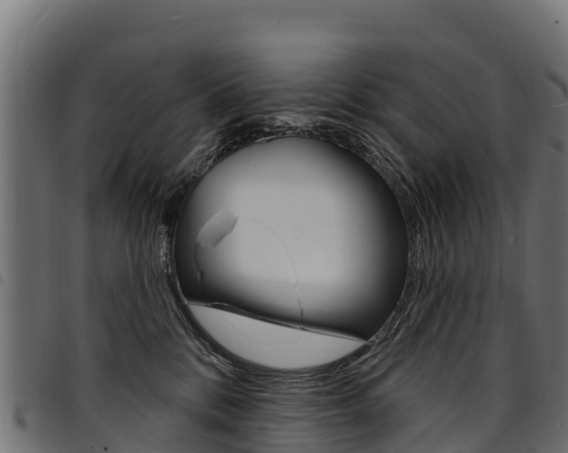 X0000094960328200711291133
