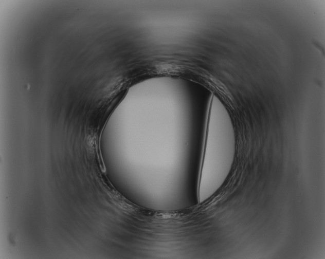 X0000094960329200711291133