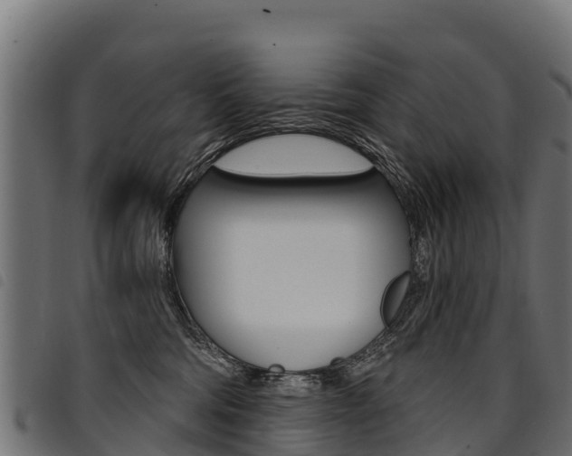 X0000094960330200711291133