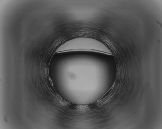 X0000094960333200711291133