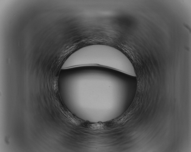 X0000094960335200711291133
