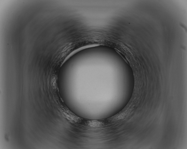 X0000094960336200711291133