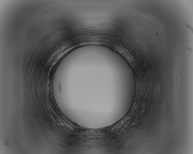 X0000094960338200711291132