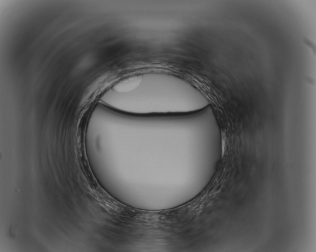 X0000094960339200711291132