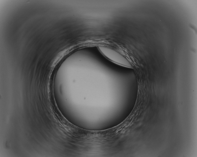 X0000094960340200711291132