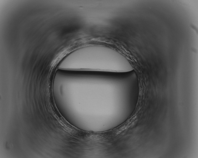 X0000094960341200711291133