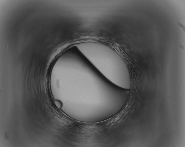 X0000094960342200711291133