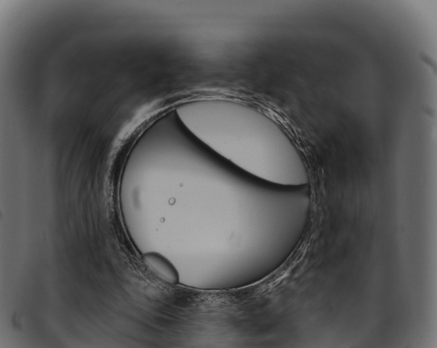 X0000094960343200711291133