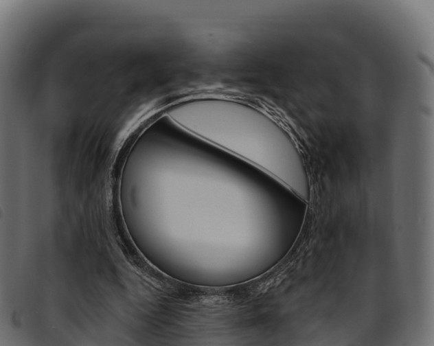 X0000094960344200711291133