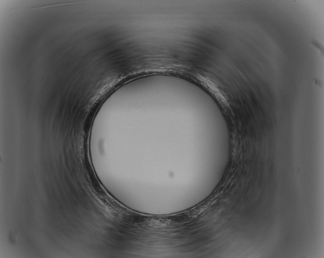 X0000094960346200711291133