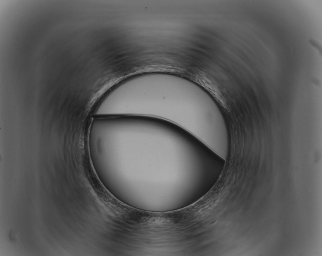 X0000094960348200711291133