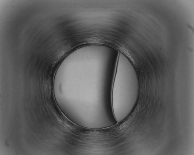 X0000094960349200711291133