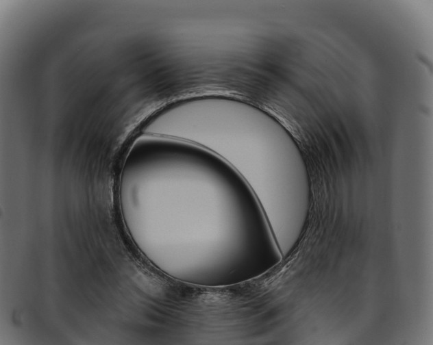 X0000094960350200711291133