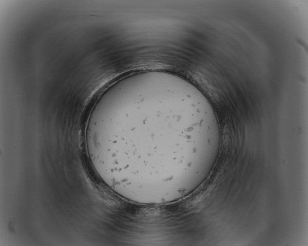 X0000094960351200711291133