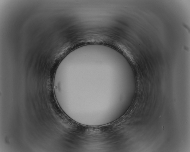 X0000094960354200711291133