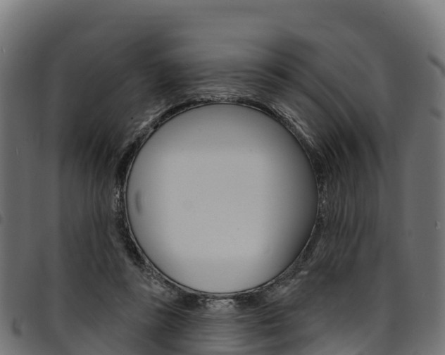 X0000094960355200711291133