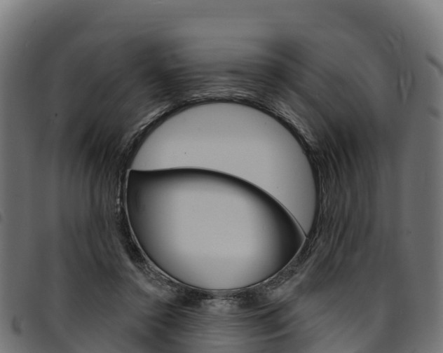 X0000094960356200711291133