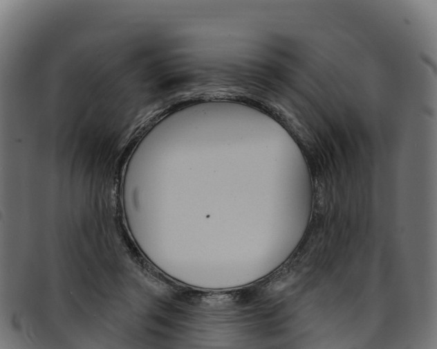 X0000094960357200711291133