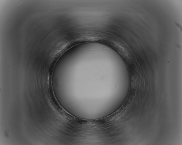 X0000094960358200711291133