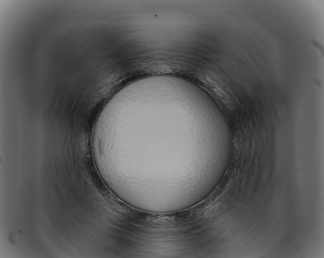 X0000094960359200711291133