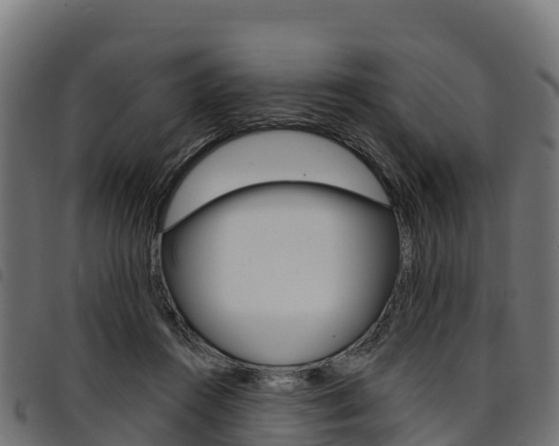 X0000094960360200711291133