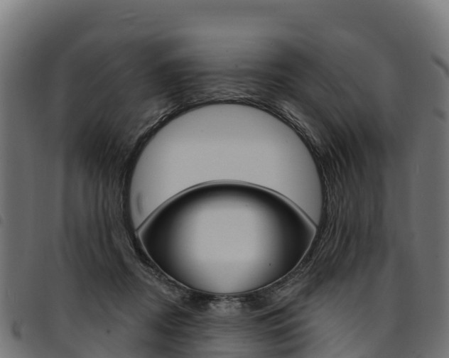 X0000094960362200711291133