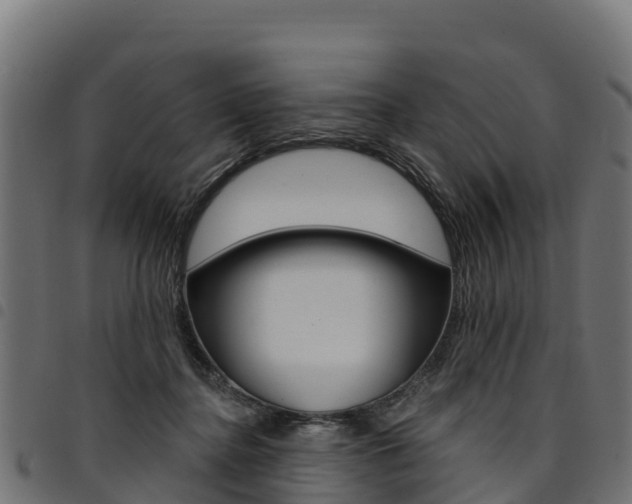 X0000094960364200711291133