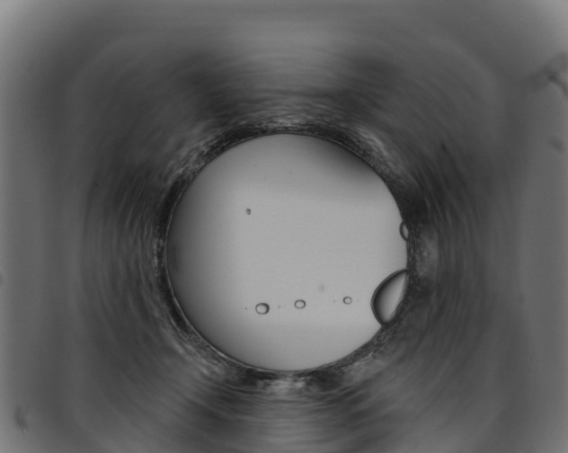 X0000094960366200711291133