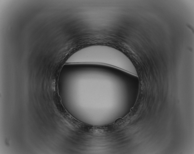 X0000094960368200711291133