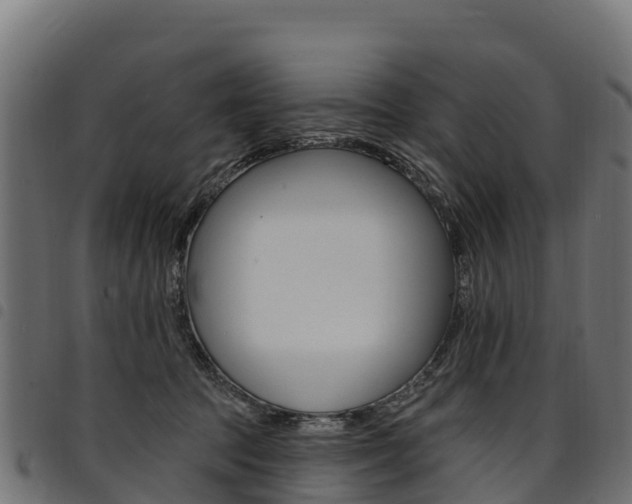 X0000094960369200711291133