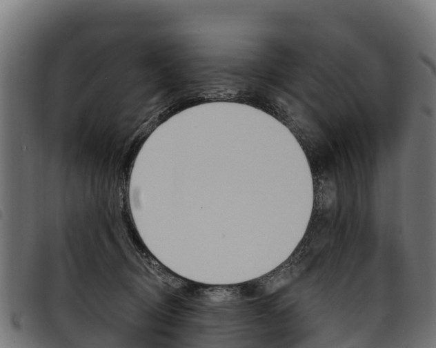 X0000094960370200711291133