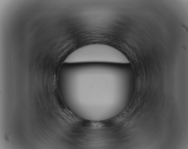 X0000094960376200711291133