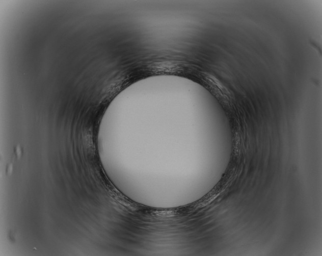 X0000094960377200711291133