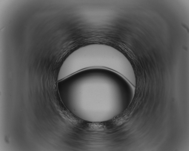 X0000094960380200711291133