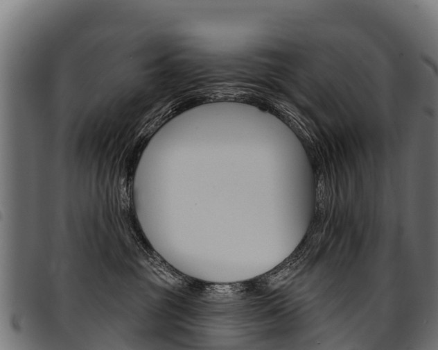 X0000094960381200711291133