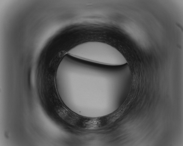 X0000094960383200711291133
