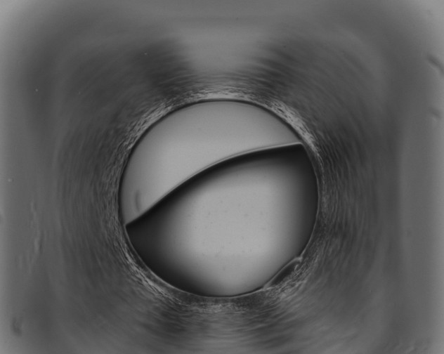 X0000094960385200711291132