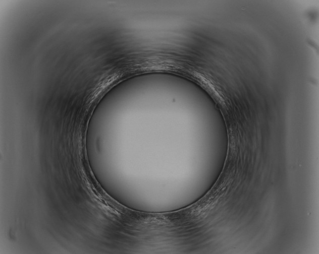 X0000094960386200711291132
