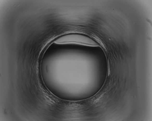 X0000094960387200711291132