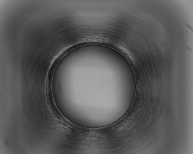 X0000094960388200711291132