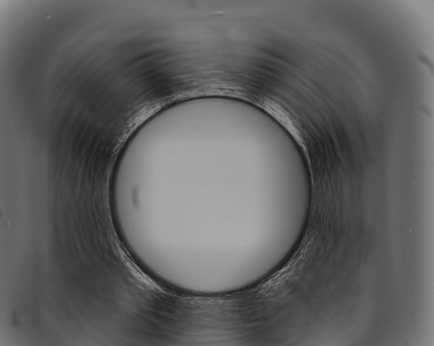 X0000094960389200711291132