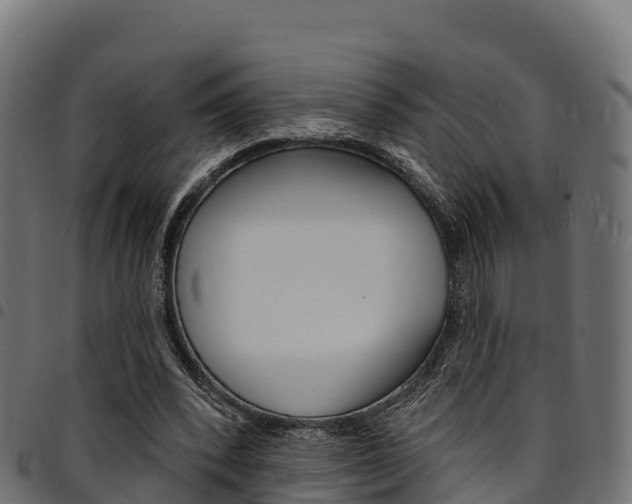 X0000094960392200711291132
