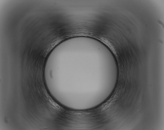 X0000094960393200711291132
