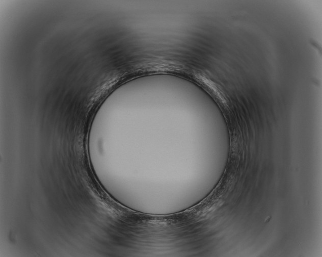 X0000094960394200711291132
