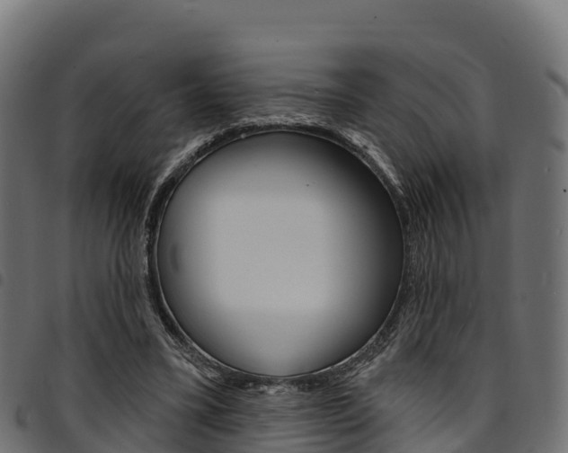 X0000094960395200711291132