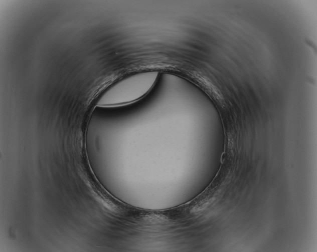 X0000094960397200711291132
