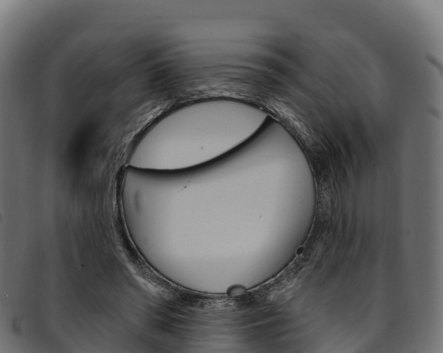 X0000094960398200711291132