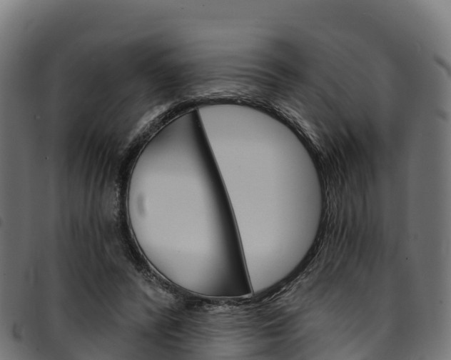 X0000094960400200711291132